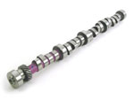 Hydraulic Camshaft - 0.450/0.458