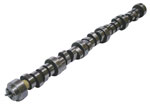 Viper/ SRT10 Ram Race Camshaft