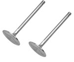 Exhaust Valve - 1.56